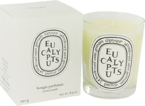 Eucalyptus Perfume